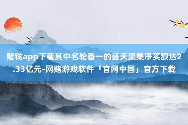 赌钱app下载其中名轮番一的盛天聚集净买额达2.33亿元-网赌游戏软件「官网中国」官方下载